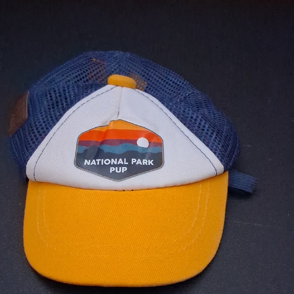 Top Paw National Park Pup Cap - Blue and Yellow